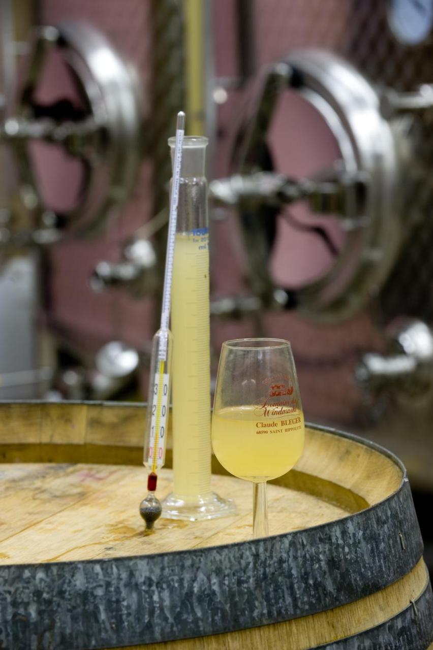Affittacamere Domaine Bleger By Windmuehl Saint-Hippolyte (Haut-Rhin)